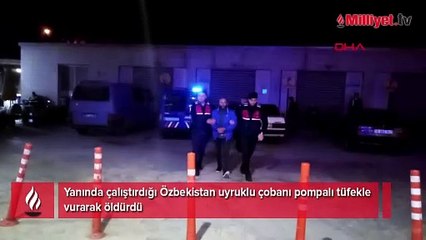 Bursa'da çobanı öldüren çiftlik sahibinin savunması ortaya çıktı!