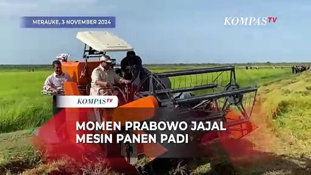 Momen Presiden Prabowo Subianto Jajal Mesin Panen Padi saat Kunjungan Kerja Perdana di Merauke