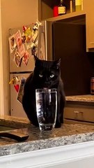 The Way He Immediately Goes Back to Drinking