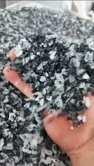 "Exploring Truth in Every Corner of Nature"