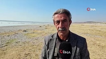 Flamingolar gitti ördekler geldi!