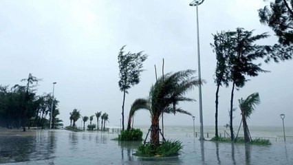 Đà Nẵng cảnh báo cấp độ 1 rủi ro thiên tai do mưa lớn