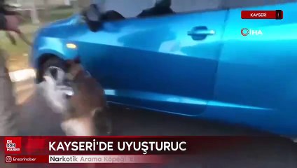 Kayseri'de narkotik Arama Köpeği Eta tacirlere geçit vermedi