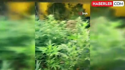 İzmir polisinden akılalmaz taktik: Zehir evini bacadan tüten kokudan buldular