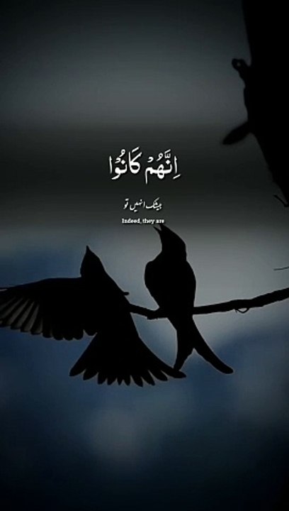 6a72aee8b0c0c470449ba3
