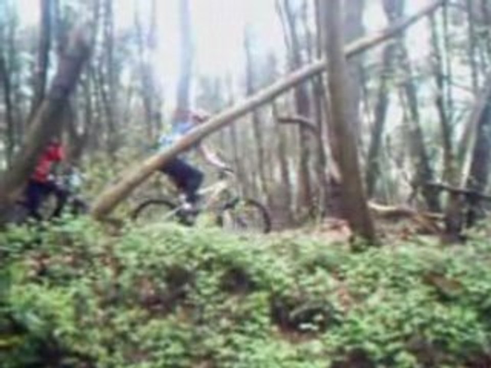 RIEUX 2008