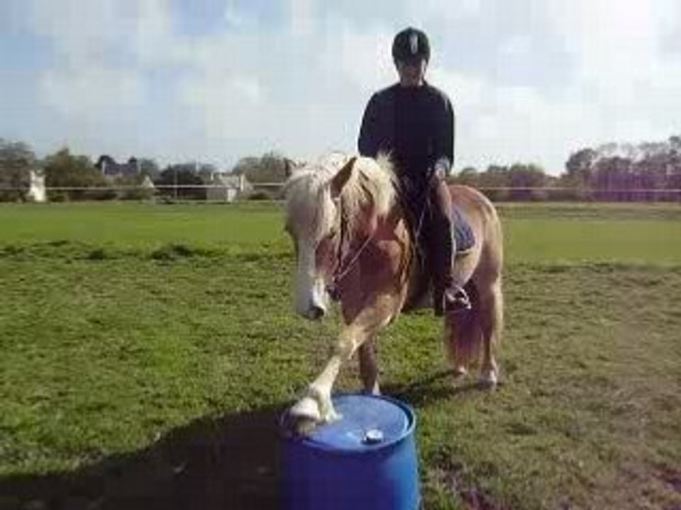 jambette