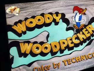 Woody Woodpecker Woody Woodpecker E137 – Get Lost! Little Doggy