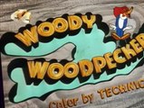 Woody Woodpecker Woody Woodpecker E141 – Woodpecker Wanted