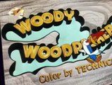 Woody Woodpecker Woody Woodpecker E144 – Janie Get Your Gun