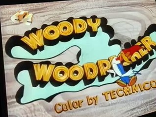 Woody Woodpecker Woody Woodpecker E145 – Sioux Me