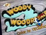 Woody Woodpecker Woody Woodpecker E147 – Rough Riding Hood