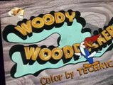 Woody Woodpecker Woody Woodpecker E159 – Horse Play