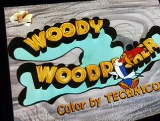 Woody Woodpecker Woody Woodpecker E169 – Little Skeeter