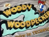 Woody Woodpecker Woody Woodpecker E170 – Woody’s Knight Mare