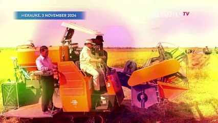 Segini Target Presiden Prabowo untuk Cetak Sawah di Merauke