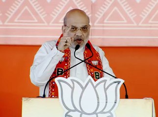 अमित शाह ने किया घुसपैठियों को चुन-चुनकर बाहर करने का वादा #Shorts