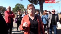 Balıkesir'de Ağaç Kesimi Protestosu