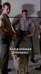 A F__kin' Hard Situation. - Reservoir Dogs (1992) #shorts #reservoirdogs #quentintarantino #movie