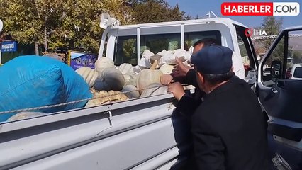 Muş'ta Yetiştirilen Bal Kabakları Varto'da Satışa Sunuluyor