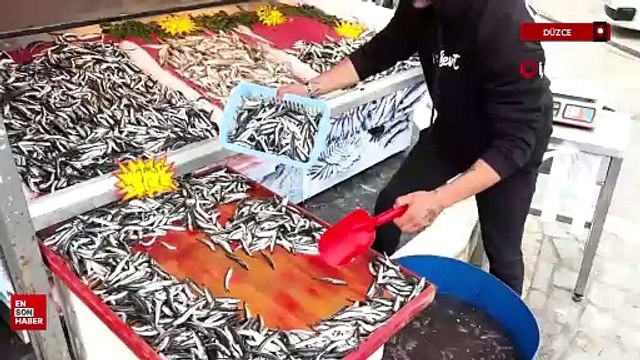 Hamsi kilosu 100 liradan tezgaha indi