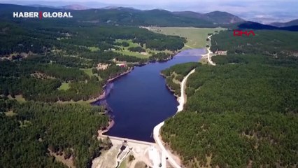 Türkiye ormanları yıllık 44 milyon ton oksijen üretiyor