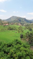 Pemandangan Alam yang Asri