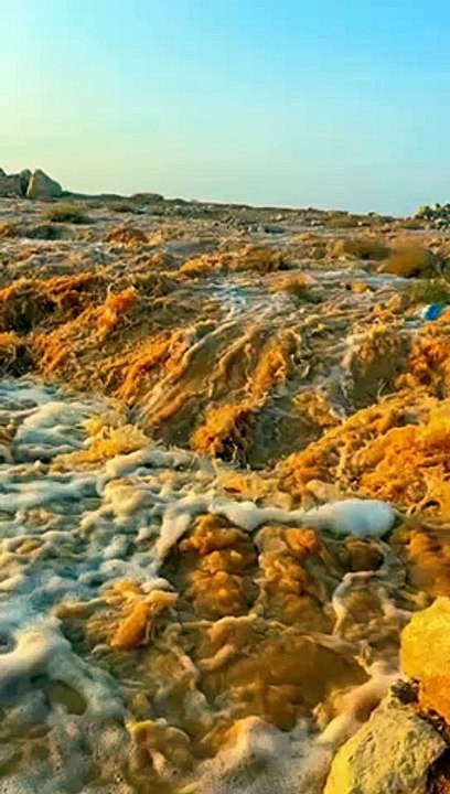 مشهد ساحر.. أمطار رفحاء ترسم لوحة طبيعية وتجذب العائلات للتنزه