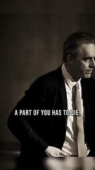 Embrace Painful Lessons- Jordan Peterson