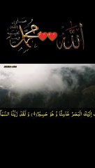 surah mulk new 2#IslamicShorts #shorts #QuranRecitation #foryou