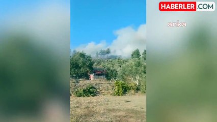 Muğla Menteşe'de Orman Yangını Çıktı