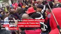 [HEXAGONE] Des milliers d'Antillais ont participé à la manifestation contre la vie chère