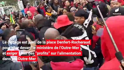 [HEXAGONE] Des milliers d'Antillais ont participé à la manifestation contre la vie chère