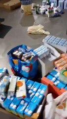 El barrio de La Mina de Sant Adrià se vuelca con Valencia