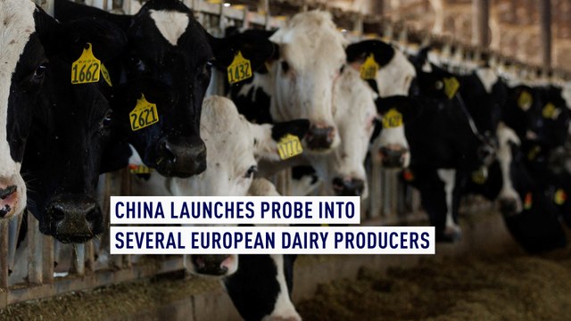 China launches probe into several European dairy producers.