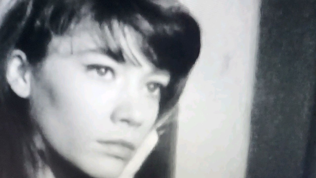Françoise Hardy : Bien longtemps