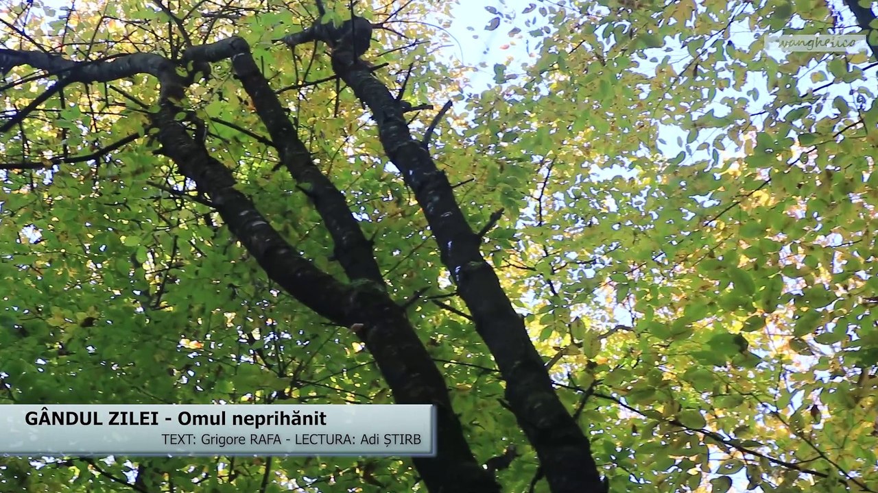 GÂNDUL ZILEI - Omul neprihănit