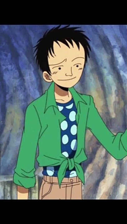 One Piece Akibi