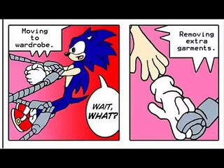 Sonic's Transformation into Rouge