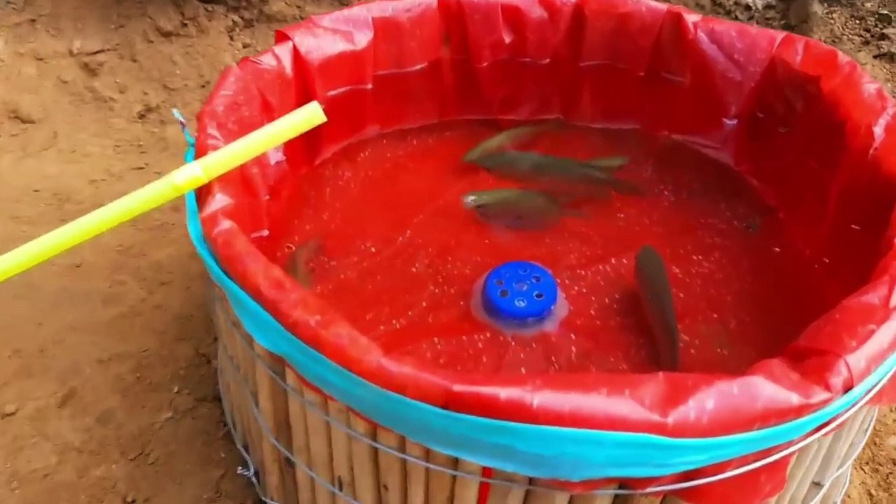 How to make mini water pump fish farming Science project video