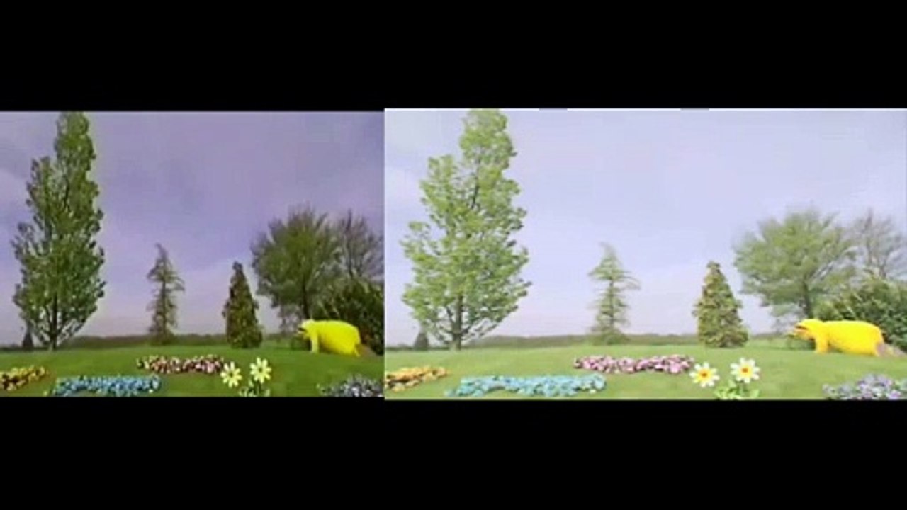 VID_20241102_110521