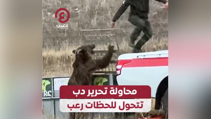 محاولة تحرير دب تتحول للحظات رعب