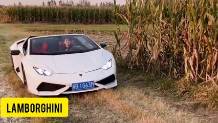 How Lamborghini Works: The Ultimate Guide to This Luxury Car 🚗
