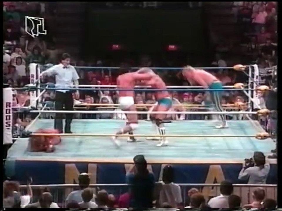 WCW Catch Up (RTLplus) 1990-10-15