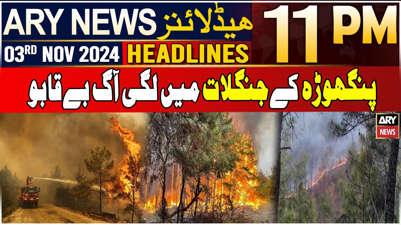 ARY News 11 PM Headlines | 3rd NOV 2024 | Large scale destruction in Abbottabad forest fire