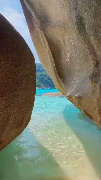 LA DIVERSITÉ de Similan Island
