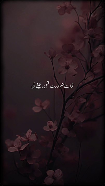 Beautiful Islamic video #islamicquotes #islamics