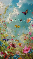 Beautiful Islamic video #islamicquotes #islamics