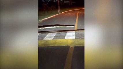 Sogra? Internauta flagra Sucuri atravessando a rua