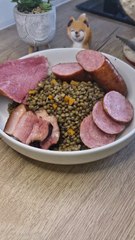 petit salé aux lentilles 